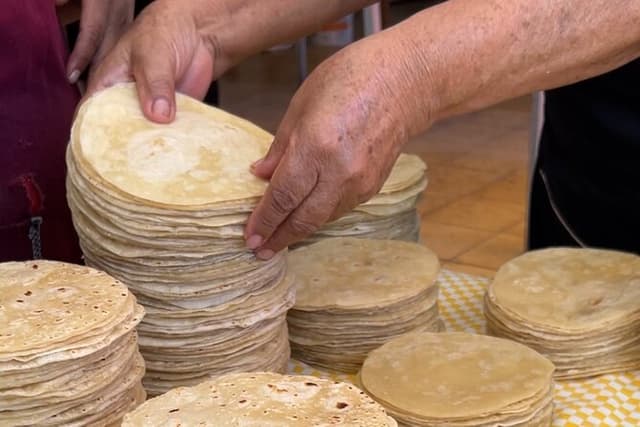 Cabo San Lucas Mexican Cooking Class Experience and Local Markets