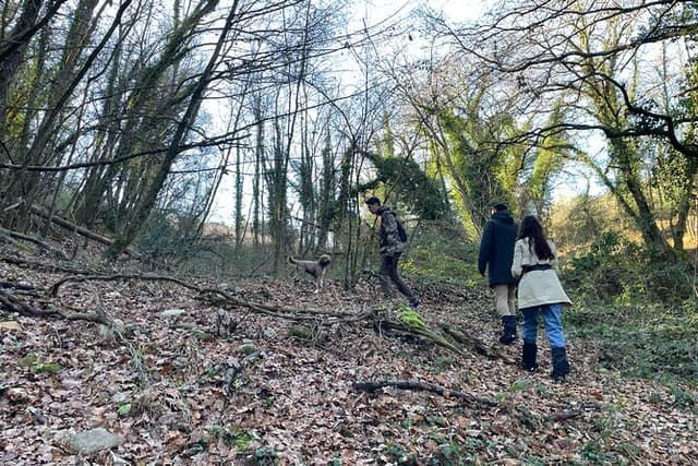 Truffle Hunting in Chianti, pasta class and lunch