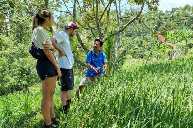Tetebatu Rice Fields: Lombok Hidden Gem