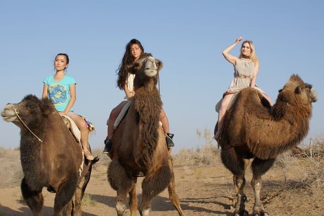 Authentic Yurt Camping & Lakeside Retreat in Samarkand