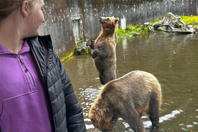 Sitka's Favorite Sites Private Land Tour up to 11 w/Meal option