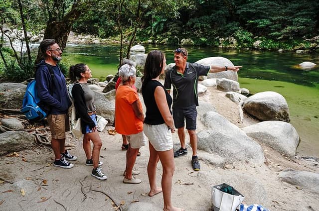 Afternoon Daintree Tour with River Cruise from Port Douglas