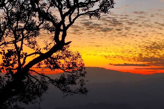 Chiang Mai Sunset Point, Wat Pha Lat, Wat Doi Suthep, Wat Umong