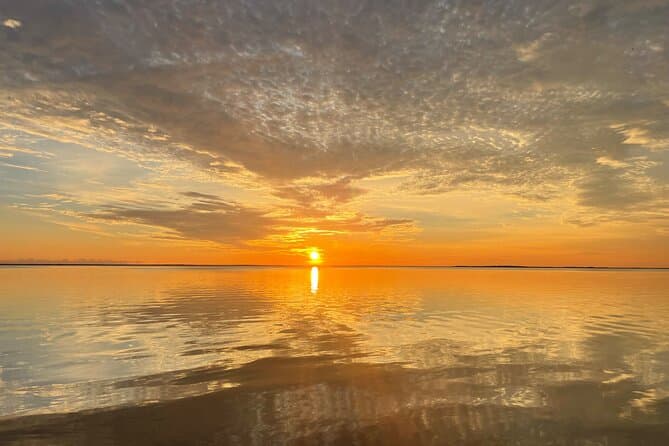 Unforgettable Dolphin Encounters & Key Largo Sunset Cruises