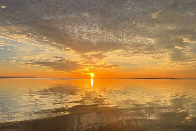 Key Largo Bay Dolphin Sunset Tour