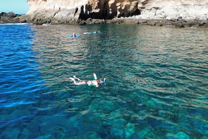 Best Puerto de Mogan Boat Trips & Excursions in Gran Canaria