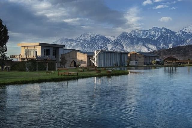 Excursion through Luxury Wineries in the Uco Valley Mendoza