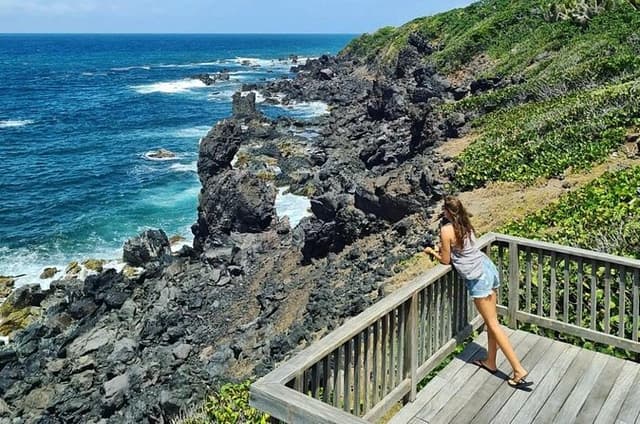 Panoramic Full Island Tour With Lunch And Beach