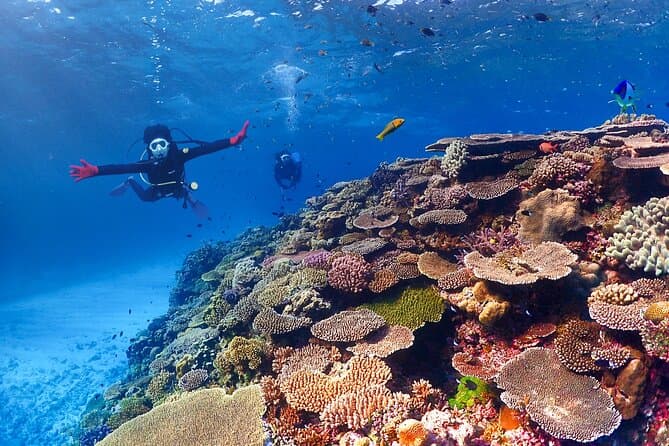 Best Boat Snorkeling Adventures in Motobu-cho, Okinawa