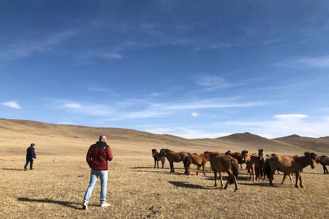 Best Khustai National Park Wildlife Tours from Ulaanbaatar