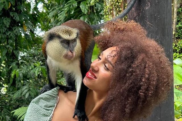 Half Day Private Tour in Grenada
