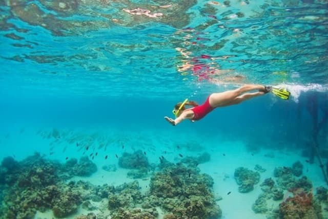 Nha Trang Bay: Explore Half-day Snorkeling at Coral Reef