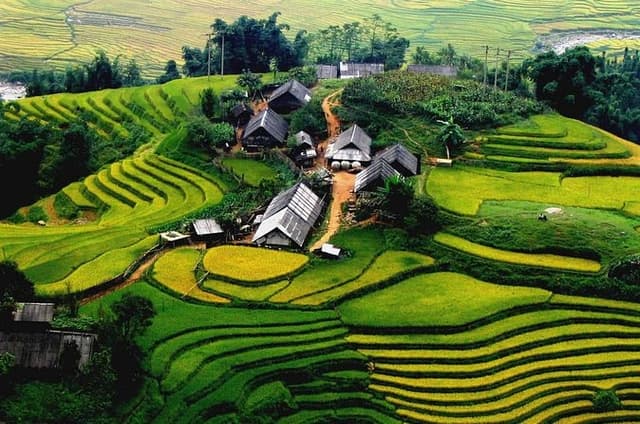 Sapa Trekking Tour: Ta Phin Village with Red Dzao People