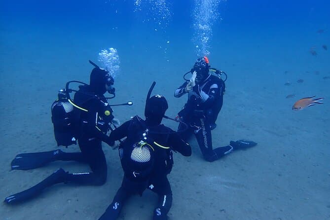 Certified Diving Courses in Lanzarote