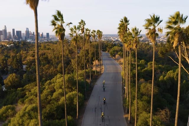 LA River & Elysian Park E-Bike Tour: Dodger Stadium & Hidden LA