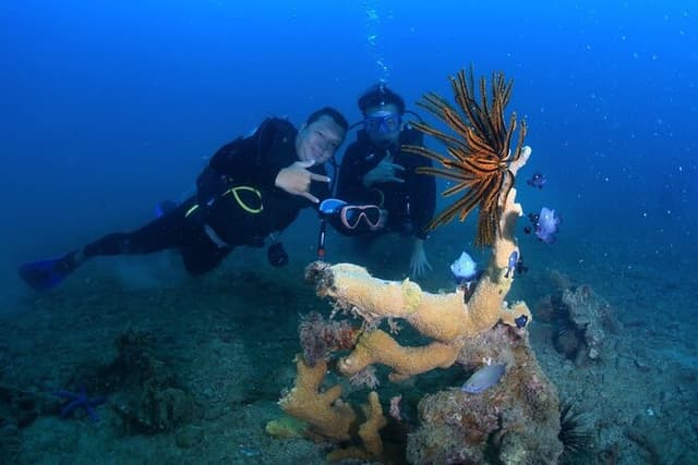 Scuba Diving Experience in Nha Trang Bay