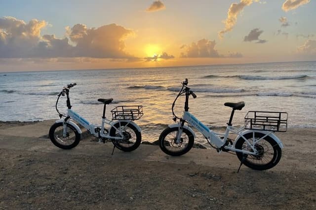 Breeze Through Tobago on an E-bike