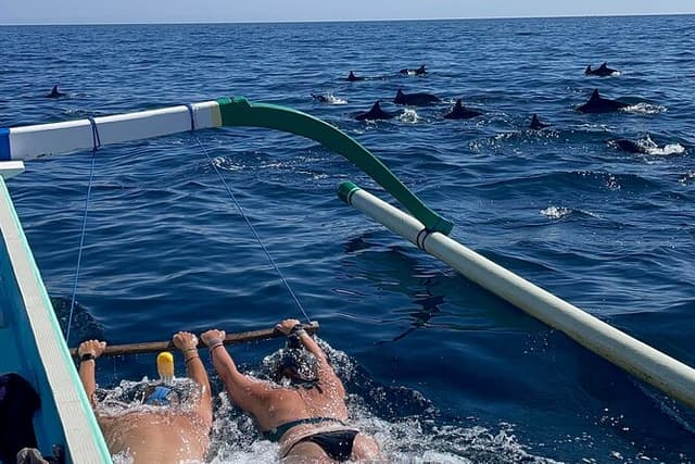 Bali : Dolphin Sunrise Experience Tour Private All Inclusive