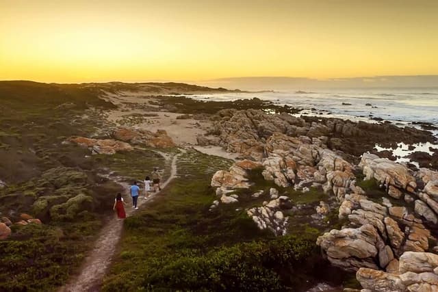 Full-Day Port Elizabeth & Kragga Kamma Reserve