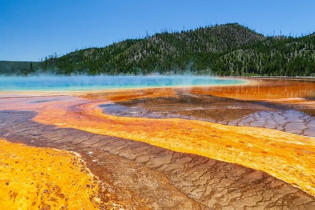 The Best of Yellowstone - Nat'l Park Day Tour From Cody - Private