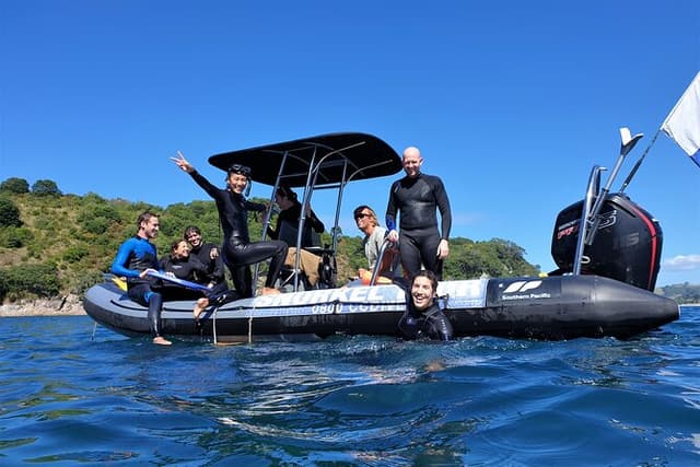 Cathedral Cove Dive & Snorkel- Marine Reserve specialised trips