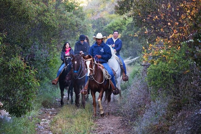 Shore Excursion Beach Horseback Riding from the Port of Ensenada