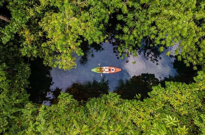 Best Quepos Kayak Tours & Wildlife Paddling