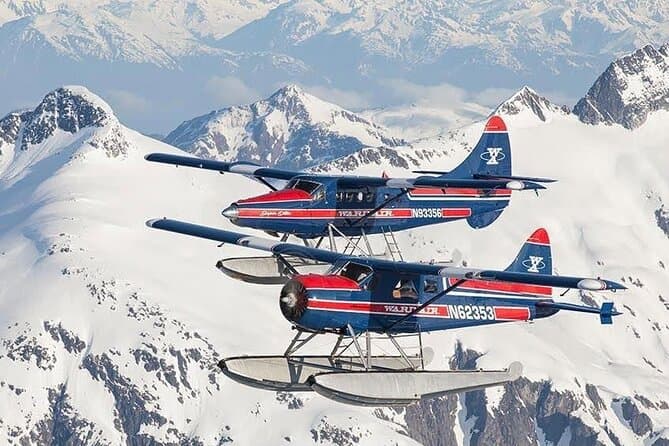 Compare Top Bear Tours in Juneau