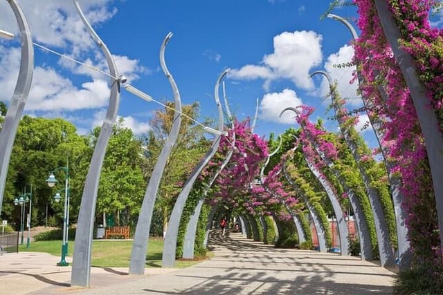 Brisbane Must-See Attractions Walking Tour with a guide