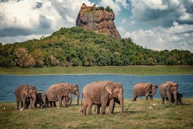 Unforgettable Sigiriya Adventure & Authentic Village Safari