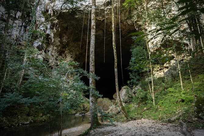 Best Mountain Pine Ridge Experiences from San Ignacio