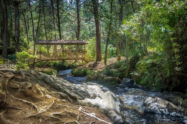 Arvi Park, Cable Car and Water Streams Private or Shared Tour