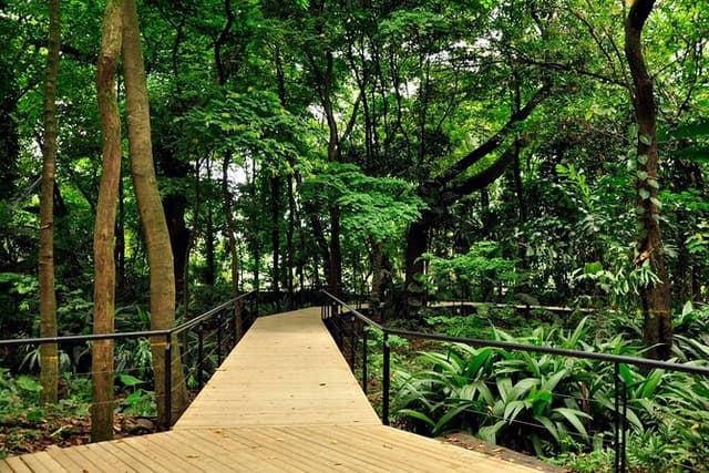 Botanical Garden and Arvi Park Private or Shared Tour