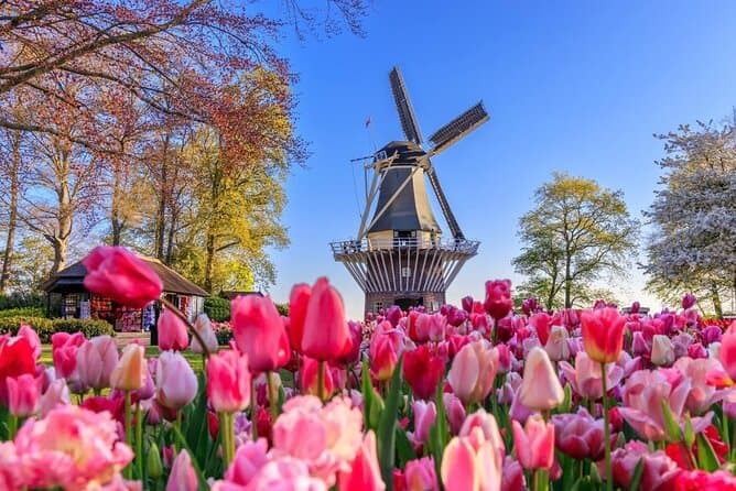 Best Keukenhof Gardens & Zaanse Schans Windmill Tour