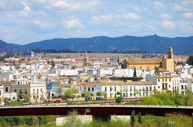 Cordoba Highlights Private Bike Tour With A Guide