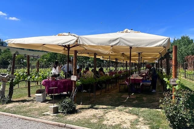Siena and San Gimignano from Rome: Private Wine Tour in Tuscany