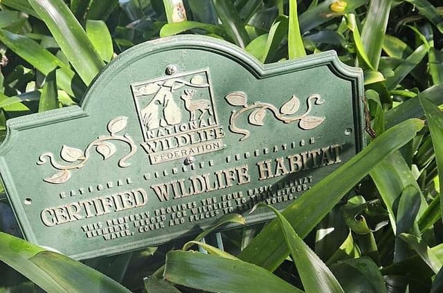 Children's Botanical Garden in St. Thomas USVI