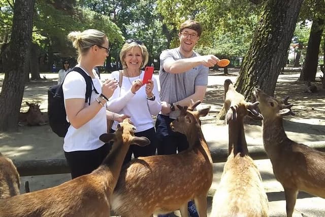 Nara Private Tour: Flexible Pickup from Kyoto, Osaka, or Nara