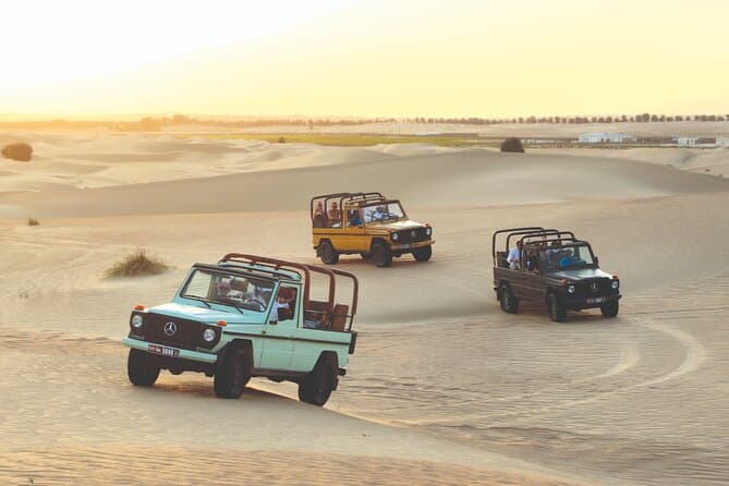 Best Al Marmoom Desert Safari & Dubai Adventure Tours