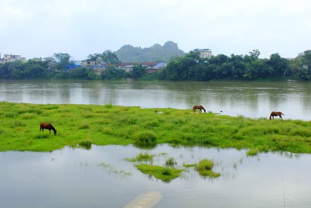 Yangshuo: 2-Day Highlights All Inclusive Tour