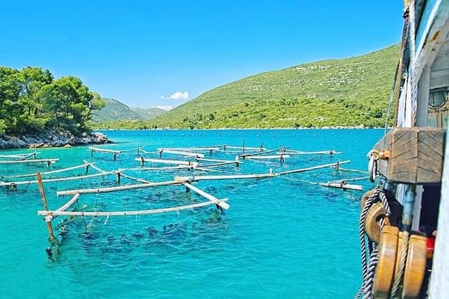 Boat ride, Oysters, Mussels & Wine: Oyster Farm Visit - Dubrovnik