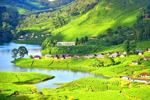 Private Full Day Wild Trails at Thekkady