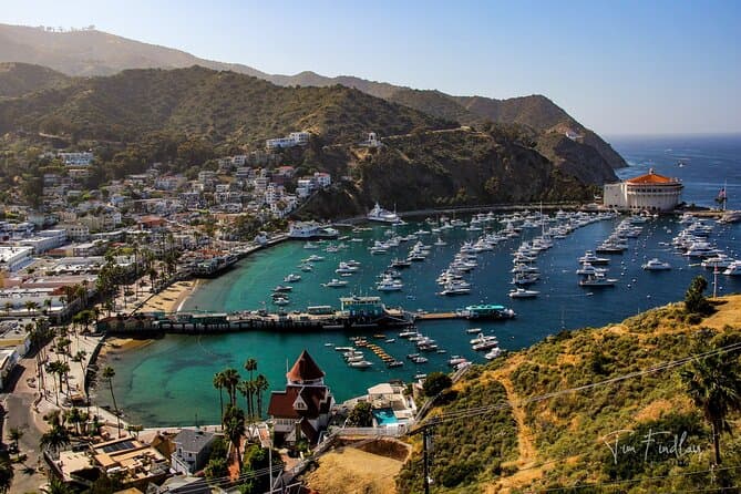 Top Rated Catalina Island Day Trips from LA