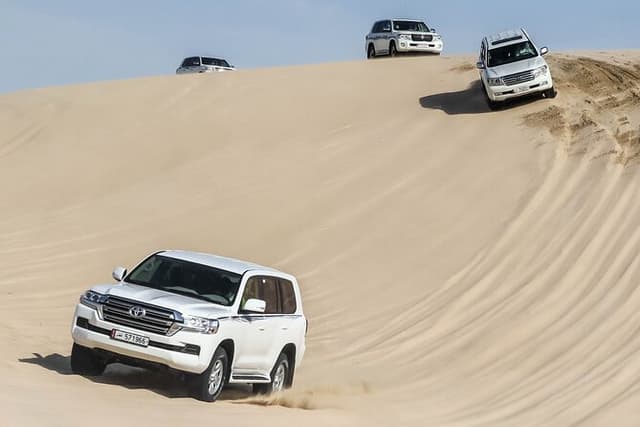 Half Day Desert Safari Tour from Cruise Terminal,Airport or Hotel