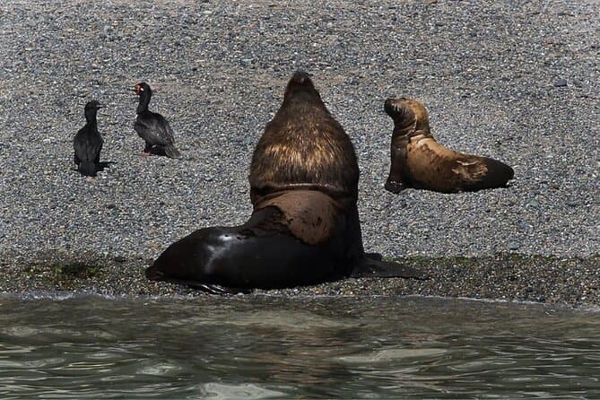 Unforgettable Puerto Madryn City Tour & Local Adventures