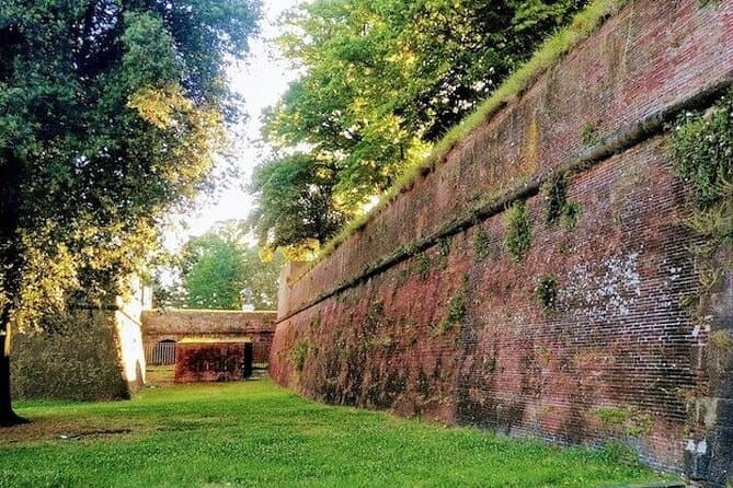 Best Pisa & Lucca Wine Tasting & Sightseeing Tour