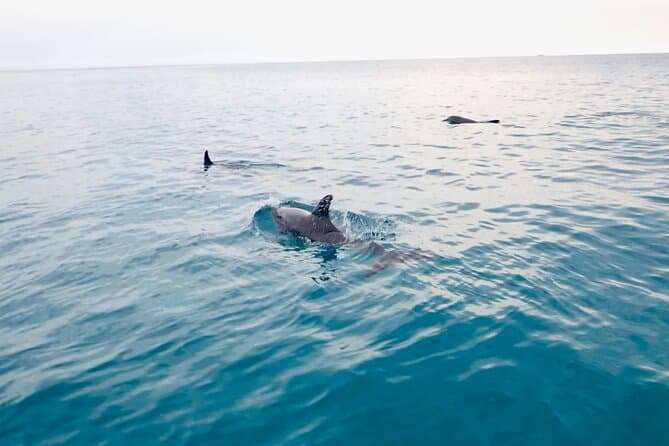 Unforgettable Key West Backcountry Eco Adventures