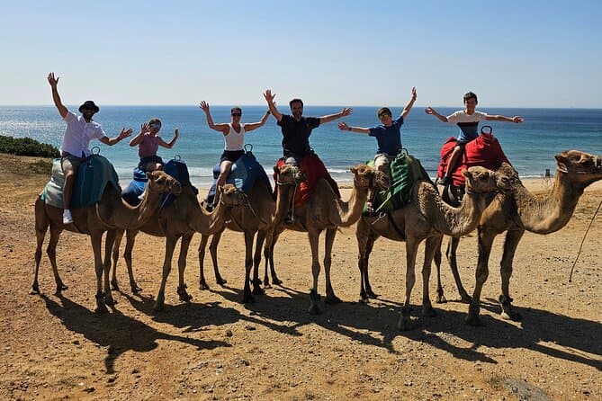 Best Gibraltar Excursions from Seville