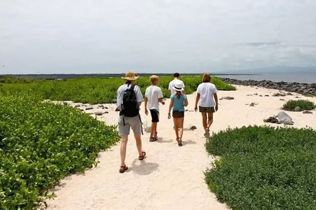 Galapagos - North Seymour Island Wildlife Snorkeling Tour + Lunch