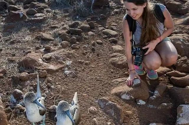Galapagos - North Seymour Island Wildlife Snorkeling Tour + Lunch